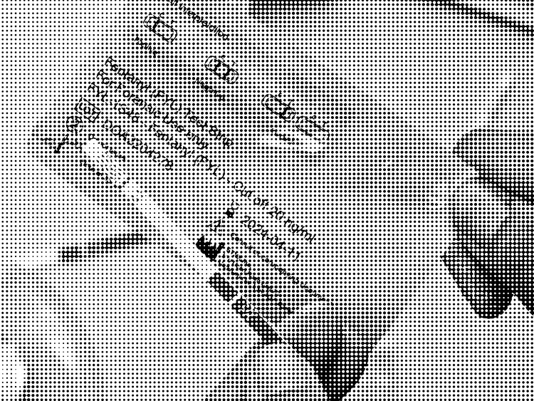 Heller's Opioid Policy Research Collaborative sets its sights on drug overdoses