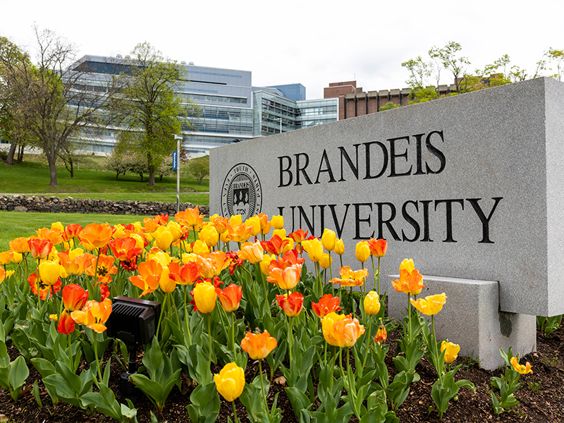 Student Workers at Brandeis Get Their First Labor Contract